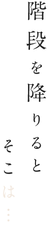 階段を降りるとそこは…